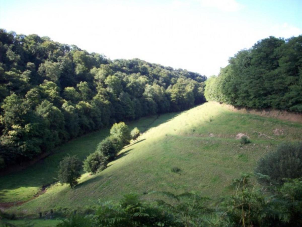 Cosy Chalet With Private Garden In Normandy Isigny-le-Buat Camera foto